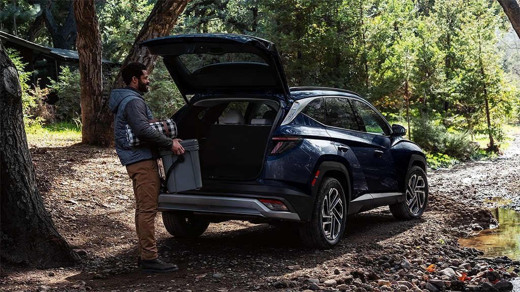 Hyundai Tucson - Image 2